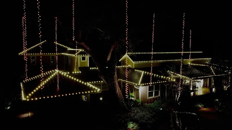 Landscape Lighting Installation
