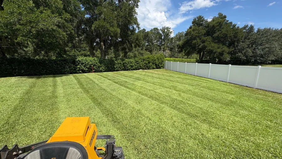 Lawn Care & Maintenance Lawn Care & Maintenance