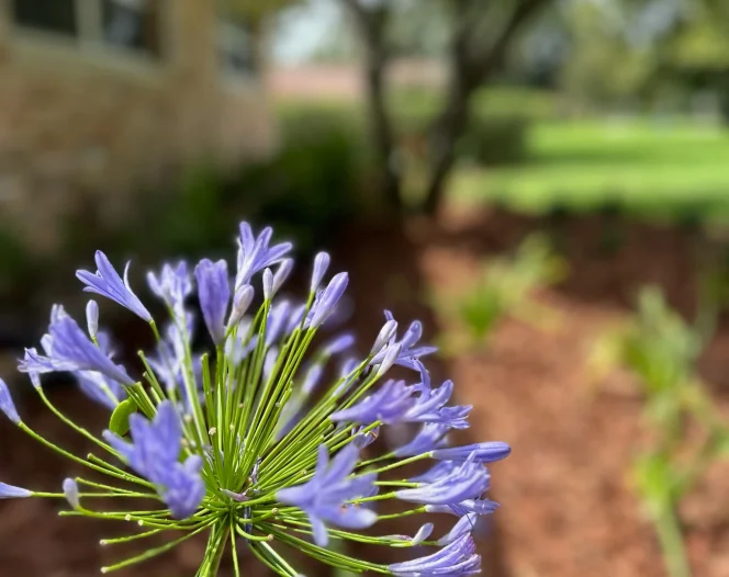clean cut lawn care llc ocala fl 2025 10 14T23:43:20.464642Z 62093